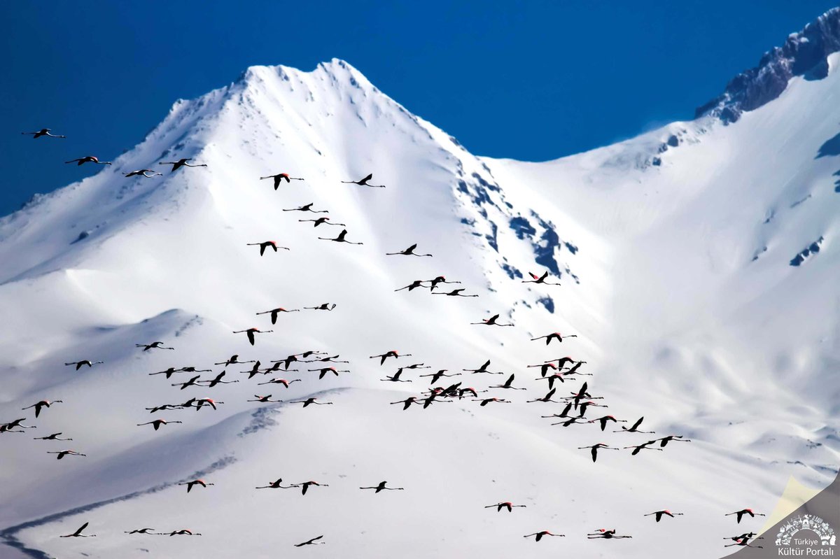 2026 Yilinda HR Dijitallesme Trendleri